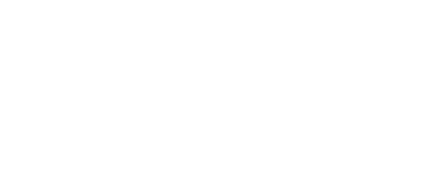 ветеранський